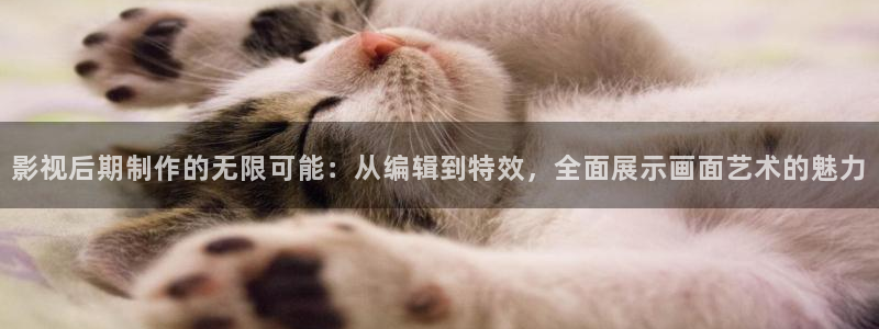 99视频精品全部免费久久精彩：影视后期制作的无限可能：从编辑到特效，全面展示画面艺术的魅力