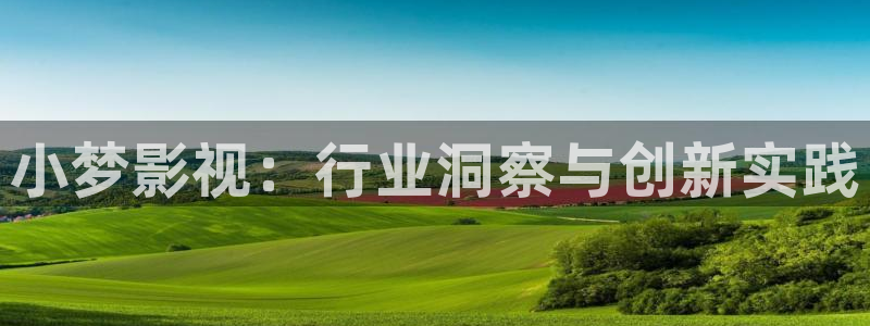 99视频全部精品2o：小梦影视：行业洞察与创新实践