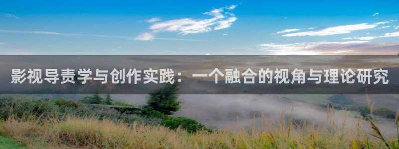 99视频全是精品：影视导责学与创作实践：一个融合的视角与理论研究
