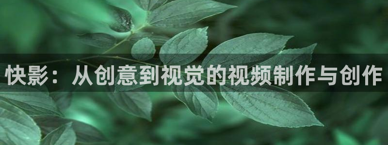 免费无遮挡99视频：快影：从创意到视觉的视频制作与创作