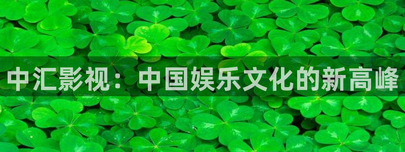99视频精品全部免费免费观：中汇影视：中国娱乐文化的新高峰