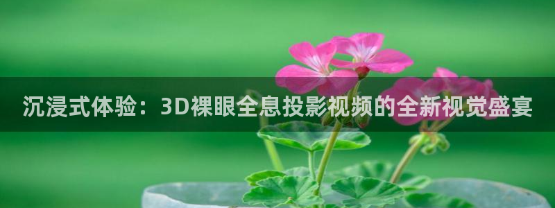 99视频区：沉浸式体验：3D裸眼全息投影视频的全新视觉盛宴