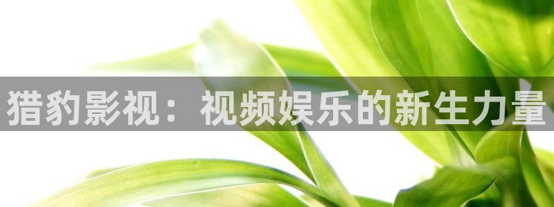 国内在线99视频：猎豹影视：视频娱乐的新生力量