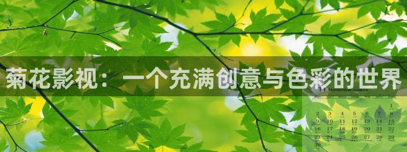 国产99视频观看：菊花影视：一个充满创意与色彩的世界